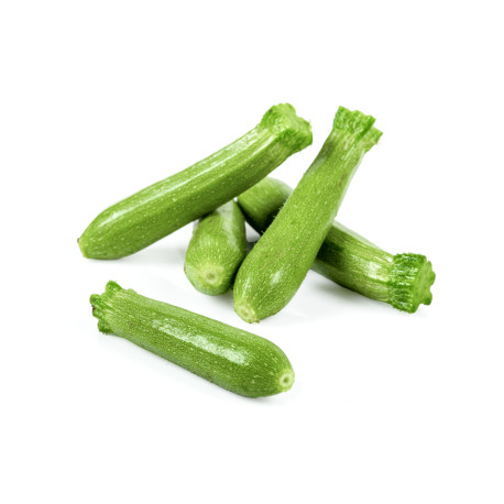 MINI COURGETTE LONGUE 6X200G